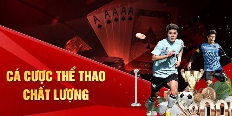 Cá cược thể thao hấp dẫn cùng CMD 368 33Win